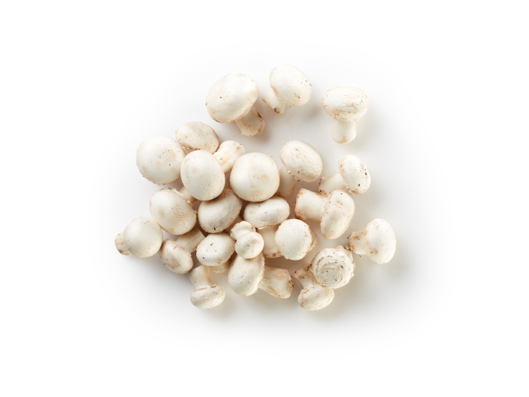 Un mucchio di funghi champignon bianchi freschi su sfondo bianco.