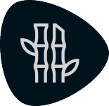 Sigillo 5