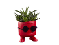 Vaso rosso a forma di personaggio con occhiali da sole e pianta succulenta.