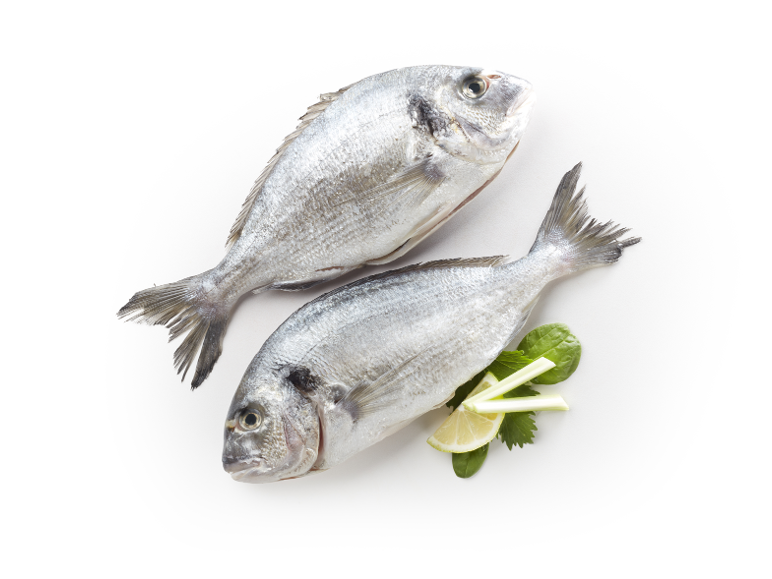 Due pesci freschi con limone ed erbe su sfondo bianco.