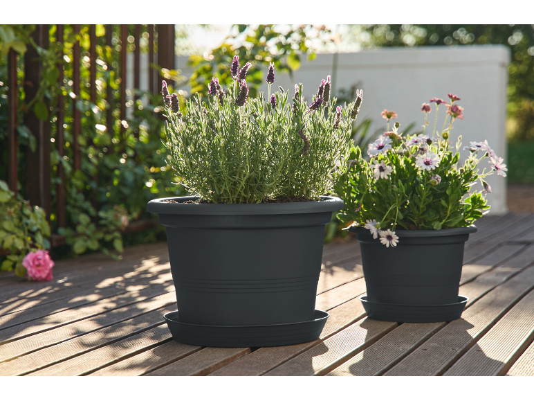 Due vasi di fiori grigi con lavanda e margherite su un ponte di legno.