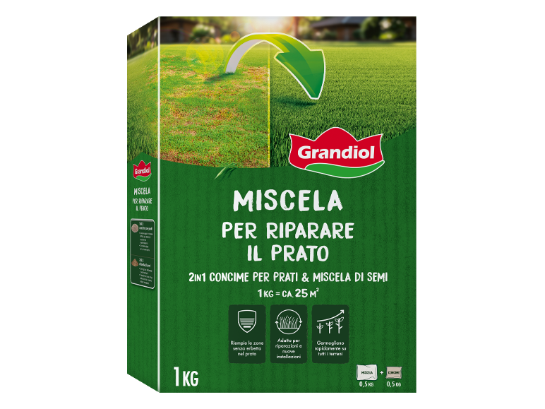 Scatola da 1 kg di miscela 2 in 1 per riparare il prato, con concime e semi.