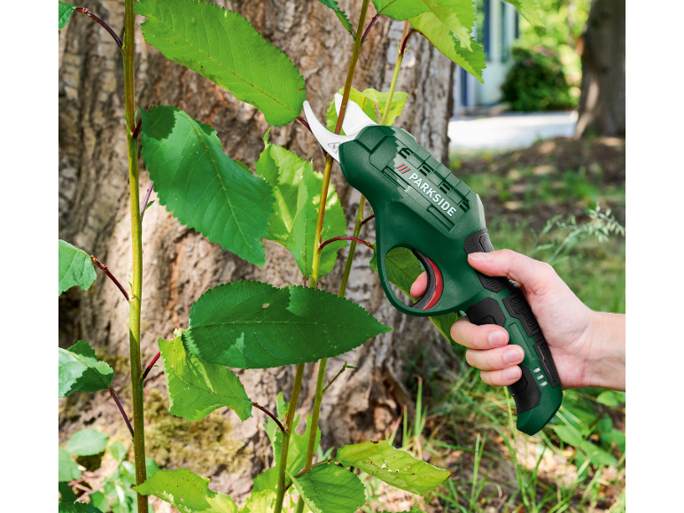 Forbici da potatura elettriche tagliano giovani germogli d'albero.