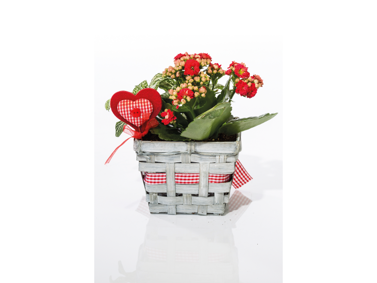 Pianta con fiori rossi in un cesto di legno con un cuore decorativo.