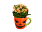 Pianta con fiori arancioni in un vaso a tema Halloween.