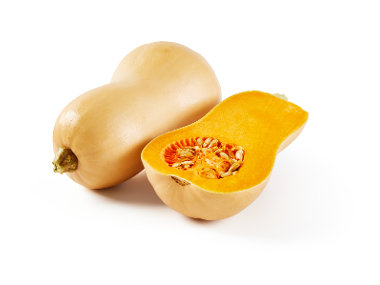zucca butternut dell'etruria