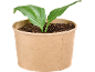 Piccola pianta verde in un vaso di carta marrone pieno di terra.