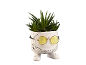 Pianta succulenta in vaso bianco con occhiali da sole gialli e disegni scarabocchiati.