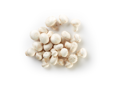 Champignon XXL