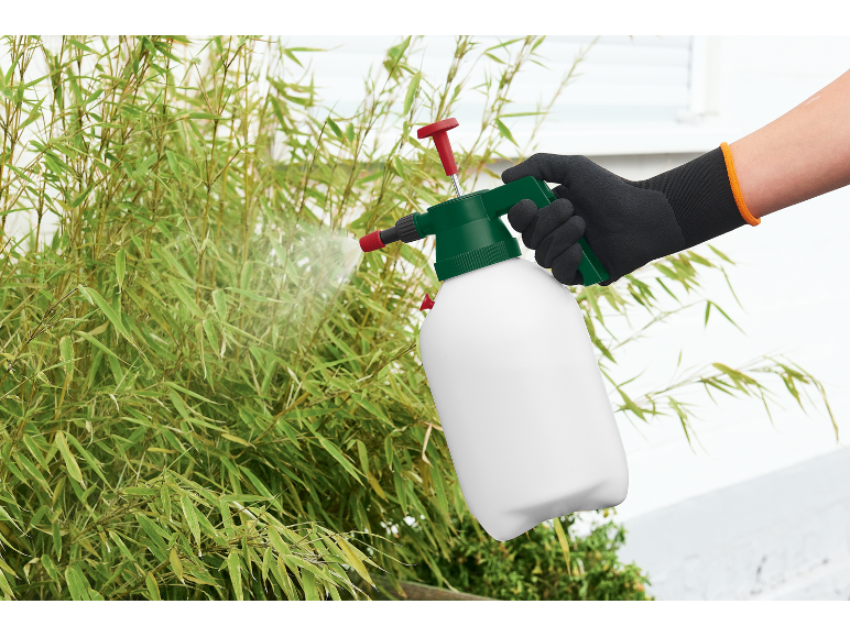 Spruzzino manuale per piante utilizzato per irrorare il bambù.