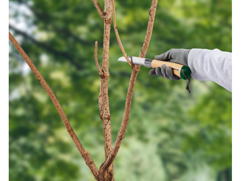 Mano guantata che taglia un ramo d'albero con una sega da giardino su sfondo verde sfocato.
