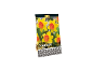 Confezione da 8 bulbi di narciso 'Loveday' di qualità premium, con fiori gialli e centro arancione.