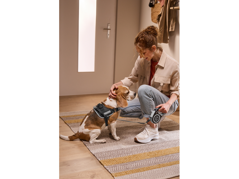 Donna accarezza un beagle con imbracatura, tenendo un guinzaglio retrattile.