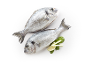 Due pesci freschi con limone ed erbe su sfondo bianco.