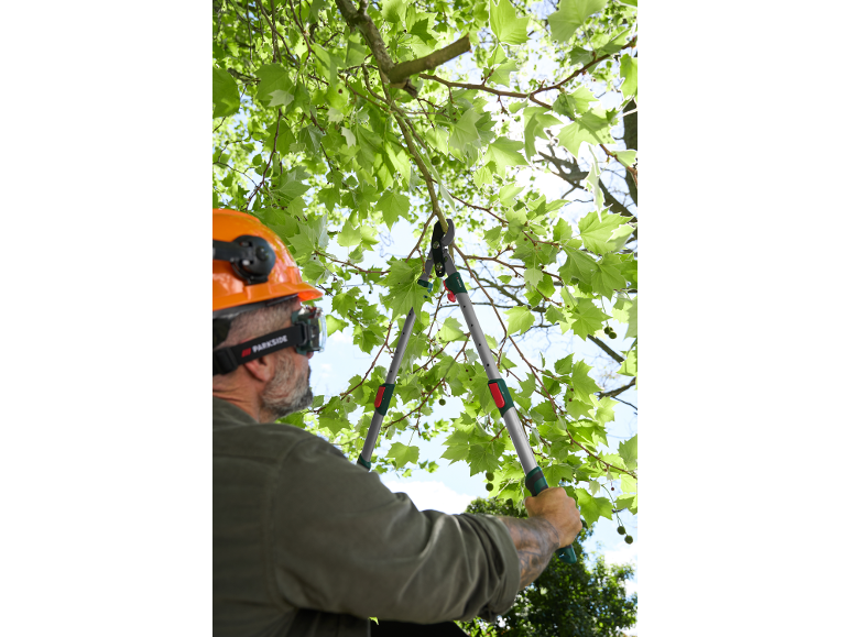 Uomo con casco di sicurezza pota rami d'albero con troncarami.
