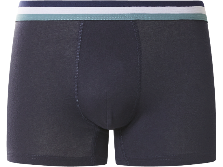 Boxer da uomo grigio scuro con elastico in vita multicolore.