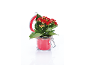 Pianta di kalanchoe rossa in un vaso di vetro con coperchio rosso.