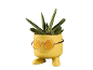 Vaso giallo a forma di faccina sorridente con occhiali da sole arancioni e pianta succulenta.