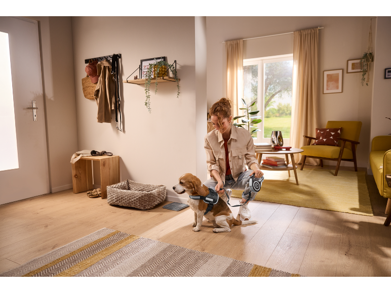 Donna prepara cane per passeggiata, tenendo guinzaglio, in accogliente ingresso con mobili in legno.