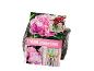 Paeonia Alexander Flemming con istruzioni per la semina e codice a barre.
