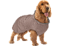 Cocker Spaniel con un cappotto imbottito marrone per cani e colletto a righe.
