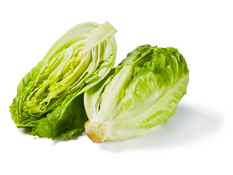 Due metà di lattuga romana fresca su sfondo bianco.