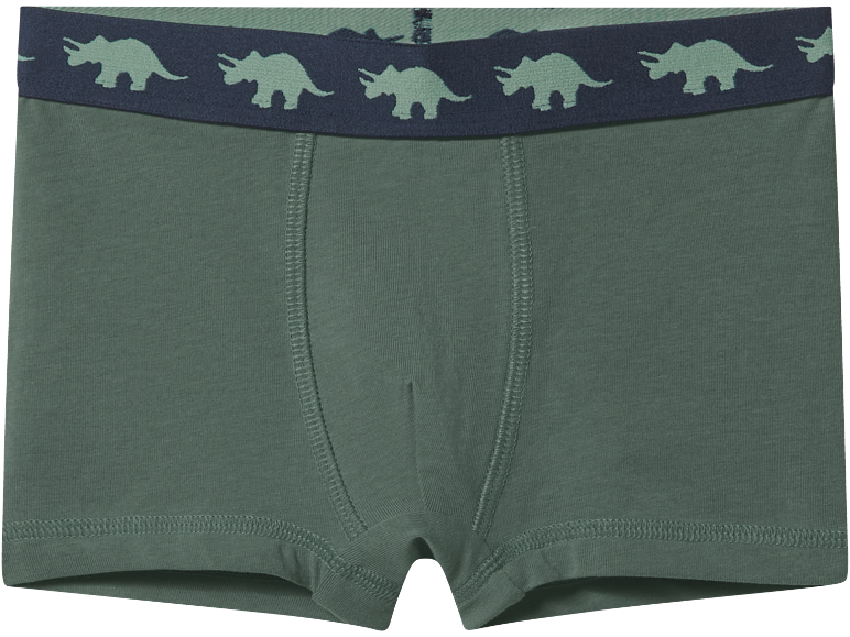 Boxer verdi con elastico in vita blu con stampa di dinosauri triceratopo