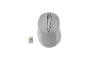 Mouse wireless e ricevitore USB, con scocca grigia e la scritta 'TRONIC'.