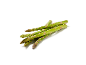 Mazzo di asparagi verdi freschi su sfondo bianco.