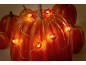 Zucca decorata con una ghirlanda di luci a forma di piccole zucche, con altre zucche sullo sfondo.