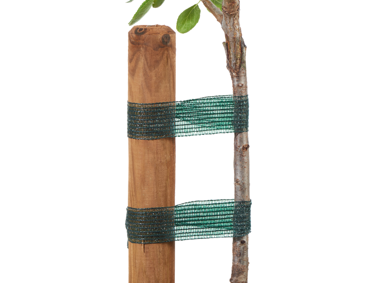 Palo di legno e tronco d'albero legati con rete verde.