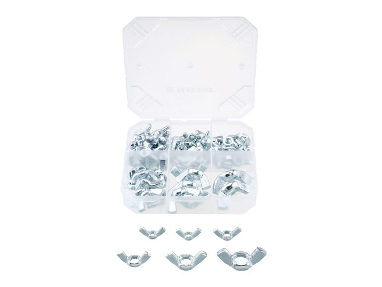Una scatola organizer in plastica trasparente piena di dadi a farfalla argentati di varie dimensioni, con altri dadi sotto.