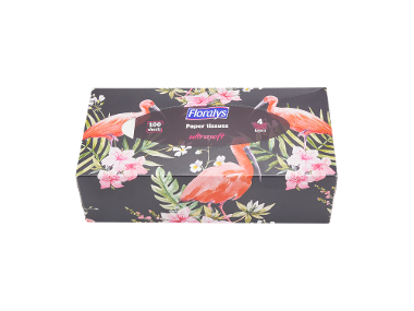 floralys box di fazzoletti di carta