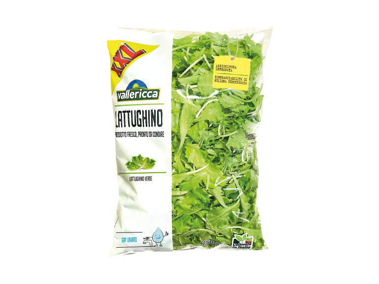 Lattughino XXL