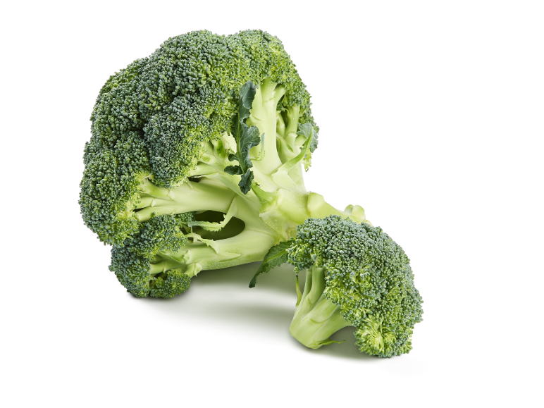Broccoli freschi con un fioretto più piccolo, su sfondo bianco.