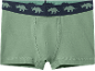 Boxer da bambino verdi con elastico in vita blu con stampa di dinosauri.