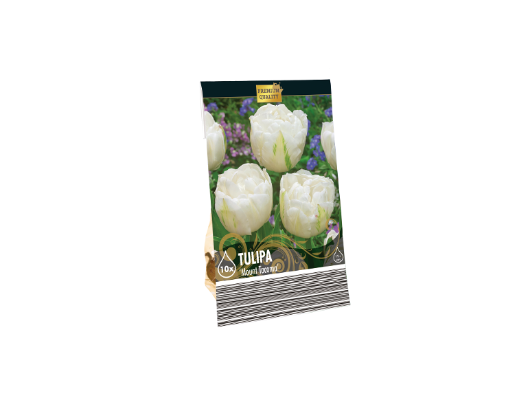Confezione da 10 bulbi di tulipano 'Mount Tacoma' di qualità premium, con fiori bianchi.