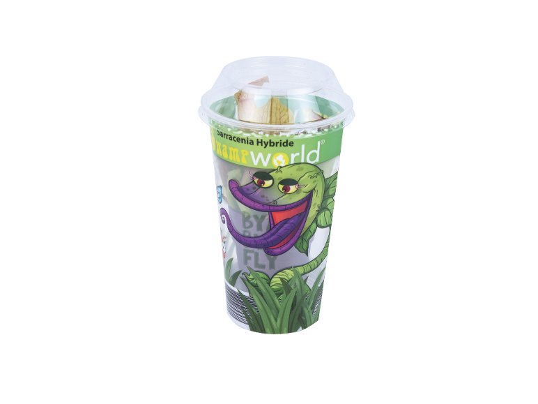 Bicchiere di plastica trasparente con pianta carnivora Sarracenia Hybride e disegno di pianta con bocca.