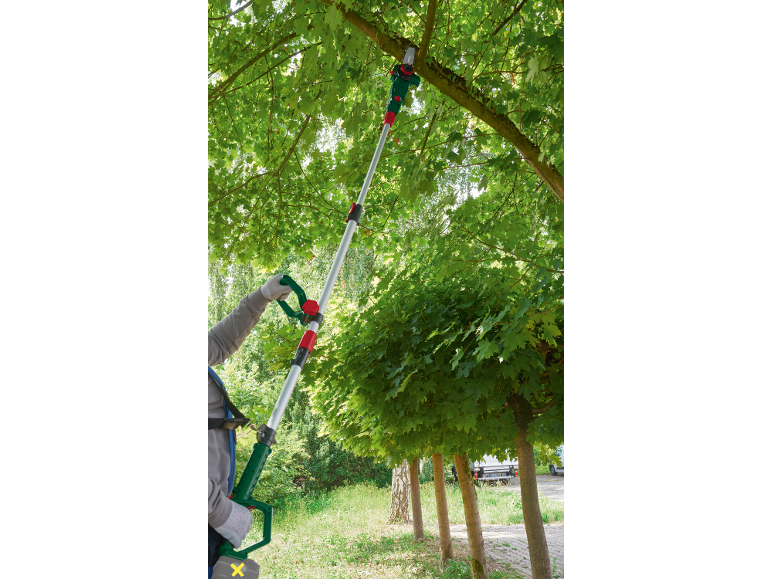 Persona che usa una sega a pertica per tagliare i rami di un albero.