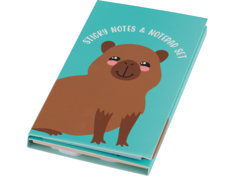 Set di note adesive e blocco note con un simpatico capibara dei cartoni animati su una copertina turchese.