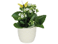 Pianta di kalanchoe bianca in vaso di ceramica con farfalla decorativa gialla.