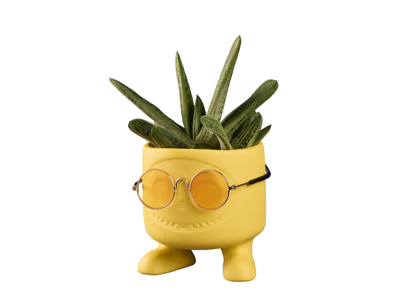 Vaso giallo a forma di faccina sorridente con occhiali da sole arancioni e pianta succulenta.