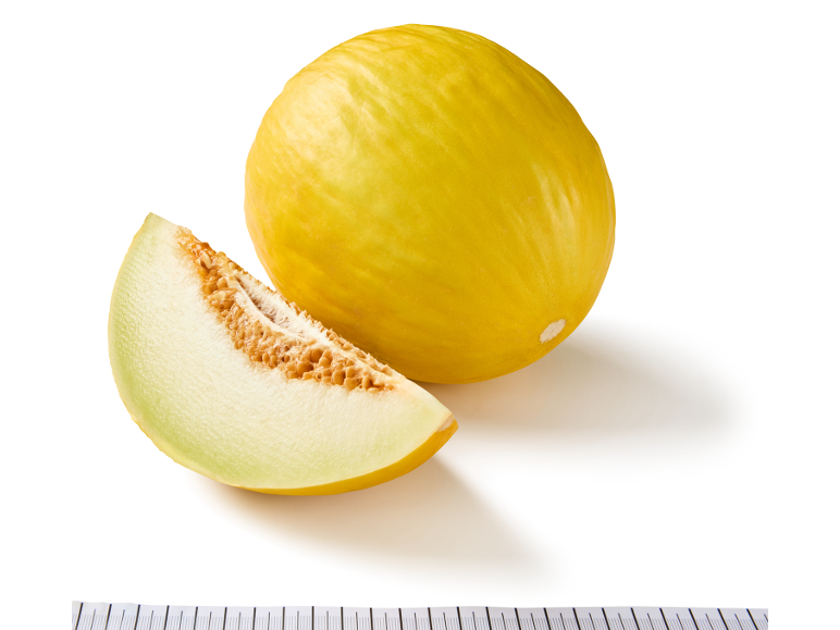 Melone giallo con una fetta su sfondo bianco