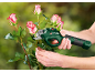 Forbici da potatura elettriche tagliano un gambo di rosa, con mani che tengono l'attrezzo e la pianta.