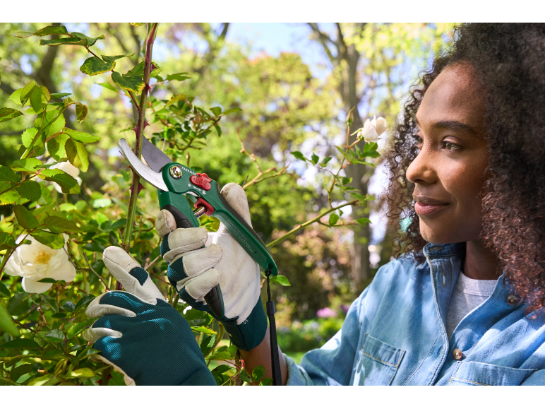 Donna che pota rose con cesoie e guanti da giardinaggio
