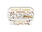 Contenitore di gelato bianco stracciatella con scaglie di cioccolato, con un cucchiaio all'interno.