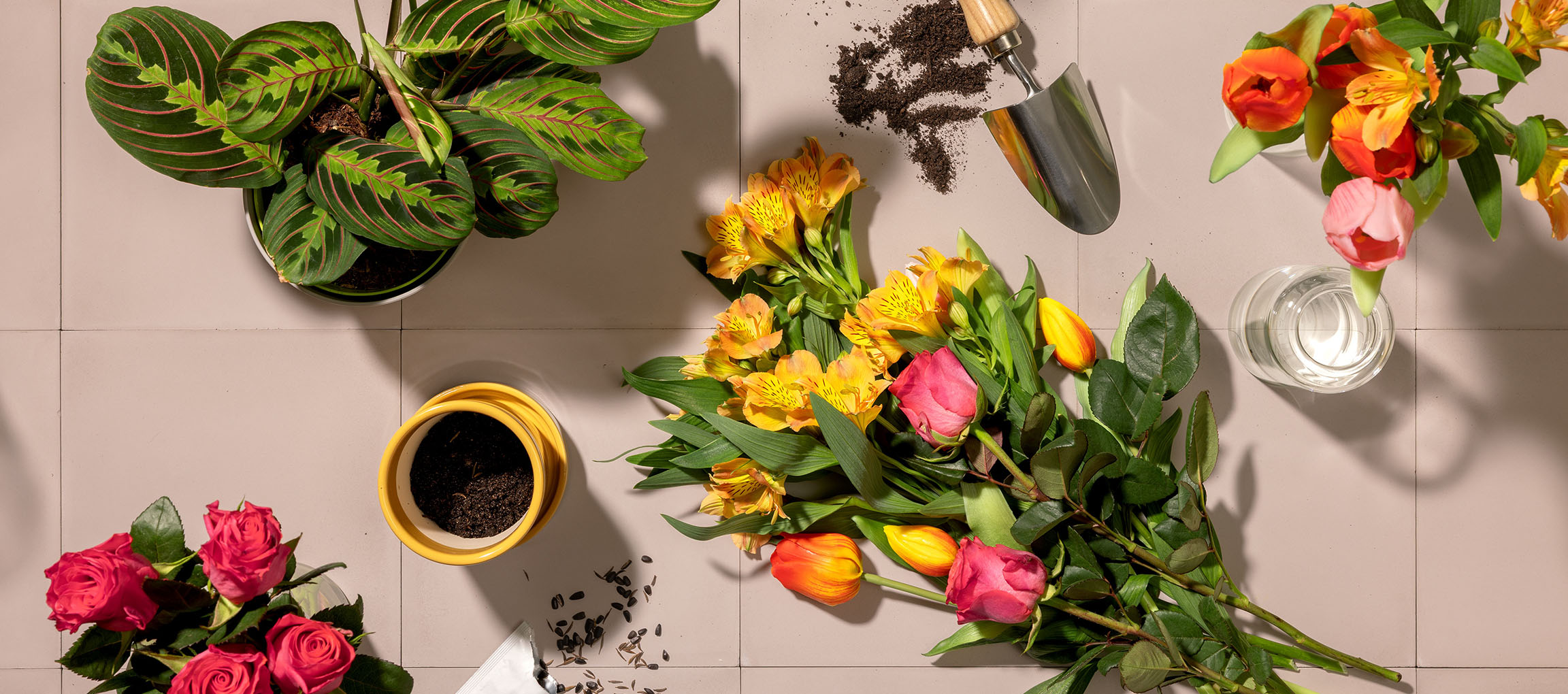 Fiori freschi, pianta in vaso e attrezzi da giardinaggio su sfondo chiaro.