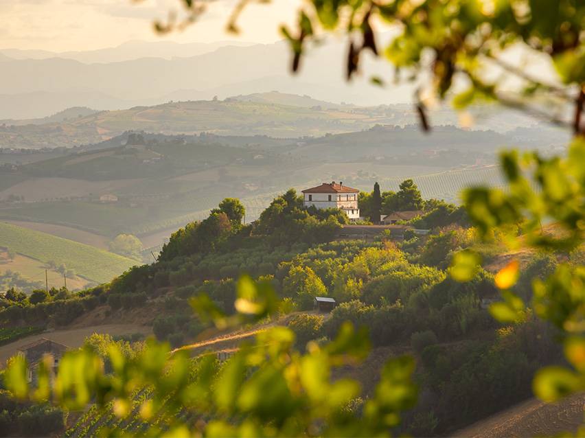 Una casa su una collina circondata da vigneti e dolci colline sotto un cielo velato.