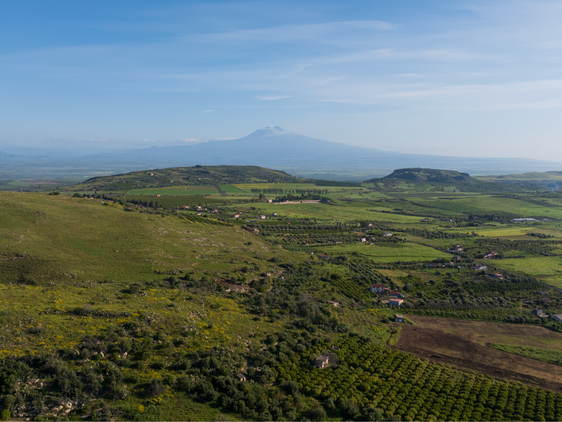 Paesaggio rurale con campi verdi, alberi e una montagna innevata all'orizzonte.