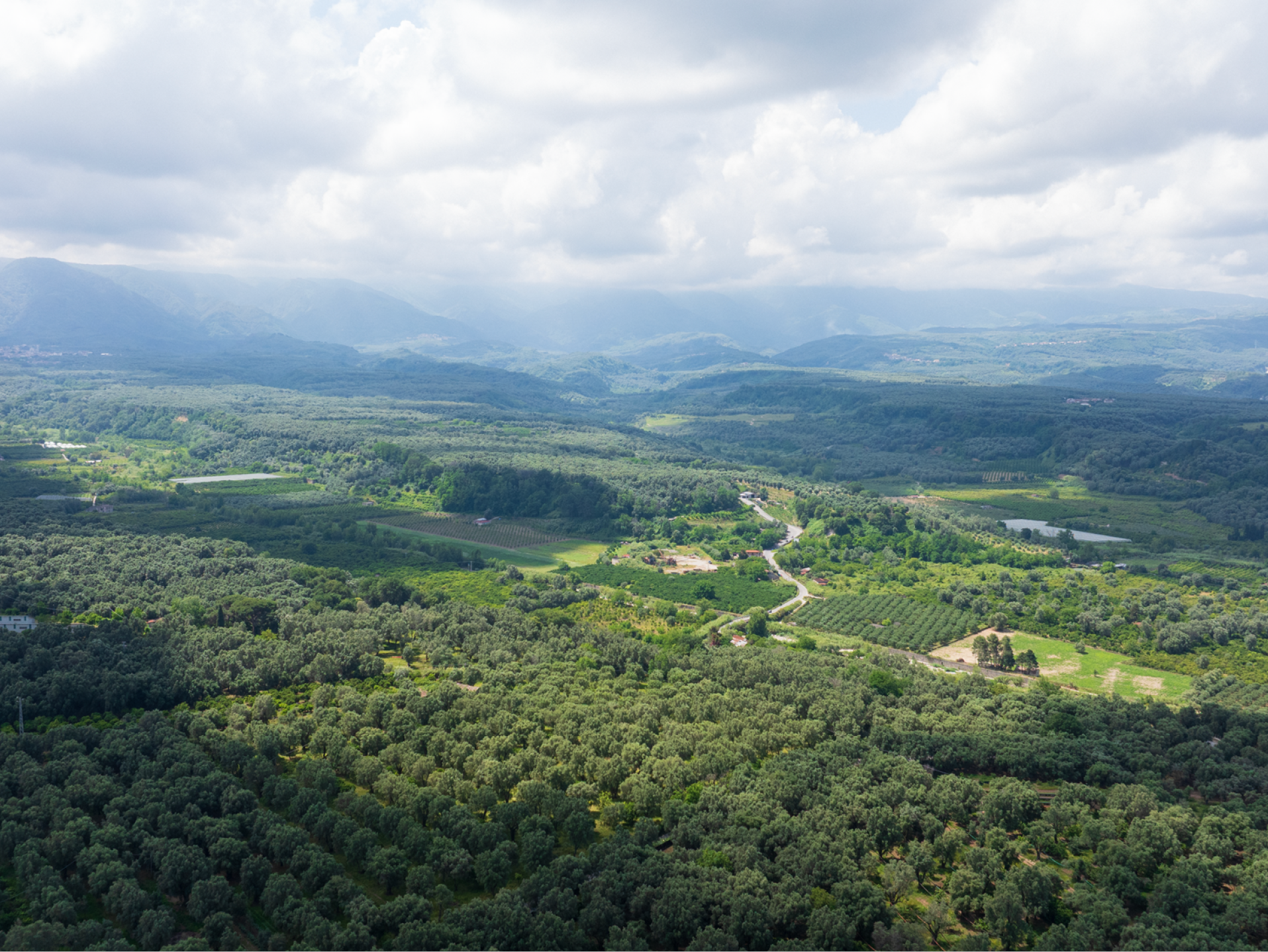 Ampia veduta aerea di una valle verdeggiante con alberi, campi e montagne in lontananza.